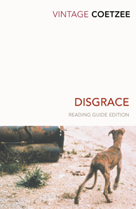 Book cover image for Disgrace